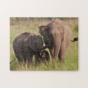 Puzzle Famille d'éléphants d'Asie indiens dans la savane