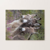 Puzzle Famille Wild Burro (Horizontal)