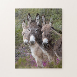 Puzzle Famille Wild Burro