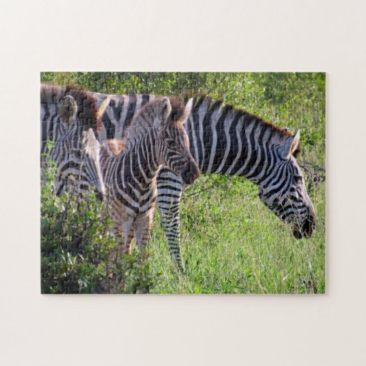 Puzzle famille zèbre (Horizontal)