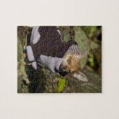 Puzzle Fancy Chihuahua (Horizontal)