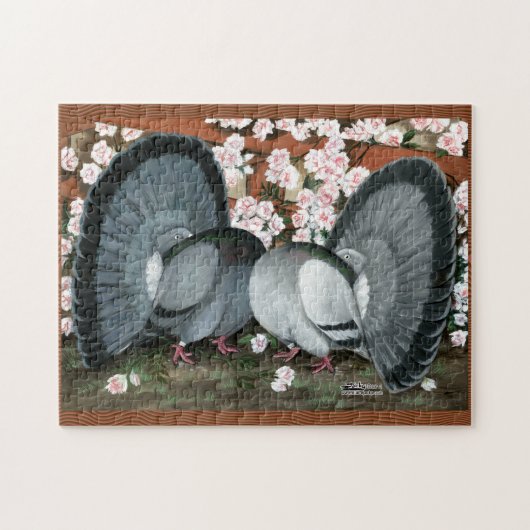 Puzzle Fantail Pigeons Matched Pair (Horizontal)