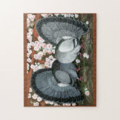 Puzzle Fantail Pigeons Matched Pair (Vertical)