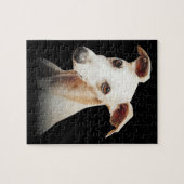 Puzzle Fantastique Whippet Visage Whippet Smile Whippet u (Horizontal)