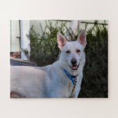 Puzzle Fantôme (Horizontal)