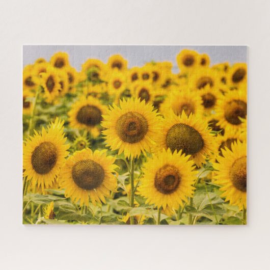 Puzzle Farms | A Sunflower (Horizontal)