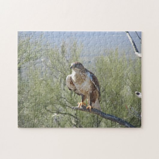 Puzzle Faucon ferrugineux (Horizontal)