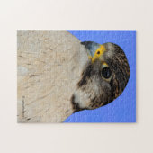Puzzle Faucon hybride Gyrfalcon Saker (Horizontal)