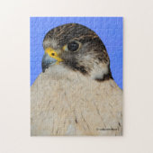 Puzzle Faucon hybride Gyrfalcon Saker (Vertical)