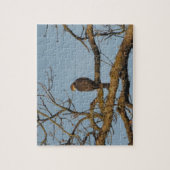Puzzle Faucon majestueux (Vertical)