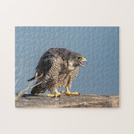 Puzzle Faucon pèlerin le long de la rivière Hudson (Horizontal)