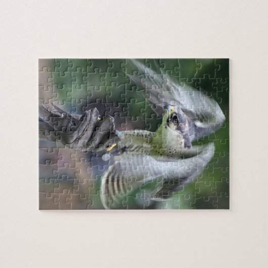 Puzzle Fauconnerie (Horizontal)