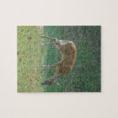 Puzzle faun, cerf-bébé au lac Arrowhead (Horizontal)