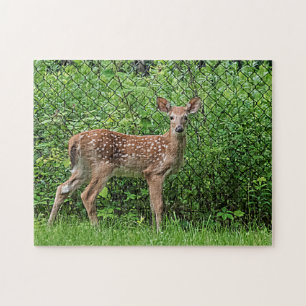 Puzzle Faune devant une clôture