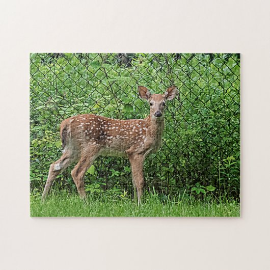 Puzzle Faune devant une clôture (Horizontal)