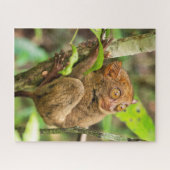 Puzzle Faune et flore du singe tarsier (Horizontal)
