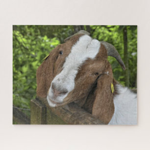 Puzzle Ferme de chèvres à 4 H