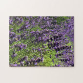 Puzzle Ferme de Lavender (Horizontal)