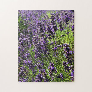 Puzzle Ferme de Lavender