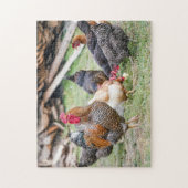 Puzzle Ferme Familiale Des Poulets Et Des Poules Sauvages (Vertical)
