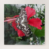 Puzzle Fermer le puzzle: Papillon noir blanc tacheté (Horizontal)