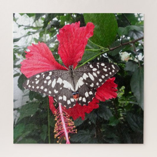 Puzzle Fermer le puzzle: Papillon noir blanc tacheté (Vertical)