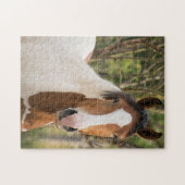 Puzzle Fermer un Cheval de Peinture (Horizontal)
