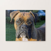 Puzzle Fermer un chien de boxe (Horizontal)