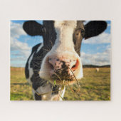 Puzzle Fermes | Vache Holstein Chewing (Horizontal)