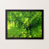 Puzzle Fern (Horizontal)