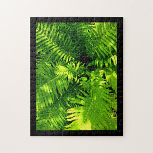 Puzzle Fern (Vertical)