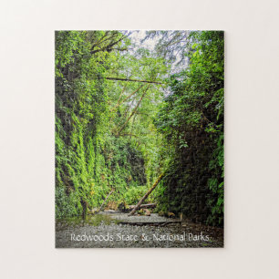 Puzzle Fern Canyon Green Walls dans le parc national Redw