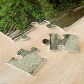 Puzzle Fern Canyon I au Redwood National Park (Côté)