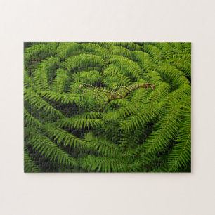Puzzle Fern Feuille
