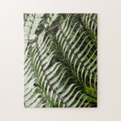 Puzzle Fern Fronds II Dark Green Nature (Vertical)