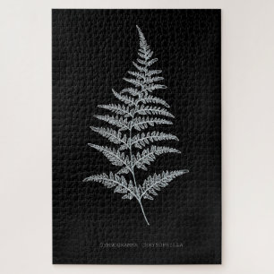 Puzzle Fern - Gymnogramma Chrysophylla. Effet de rayons X