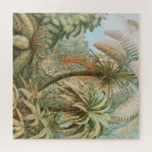 Puzzle Ferns, Filicinae Laubfarne par Ernst Haeckel (Horizontal)