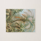 Puzzle Ferns, Filicinae Laubfarne par Ernst Haeckel (Horizontal)