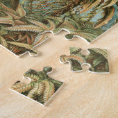 Puzzle Ferns, Filicinae Laubfarne par Ernst Haeckel (Côté)