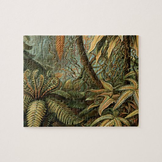 Puzzle Ferns Palm Tree Antique Botanical Ferns Art (Horizontal)