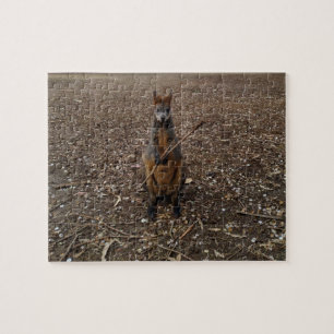 Puzzle "Fête de la nature : un casse-croûte de Wallaby"