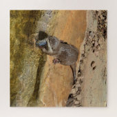 Puzzle **"Fête de Pondside : Un Otter et son Catch"** (Horizontal)