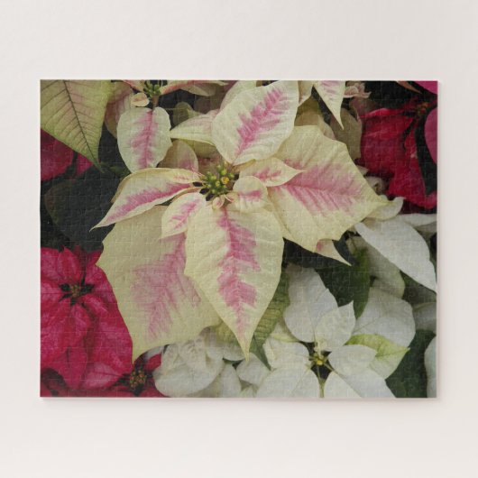 Puzzle Fêtes colorées Poinsettias Floral (Horizontal)