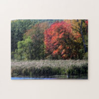 Feuillage D'Automne Bordant Un Effet Orton De Mara