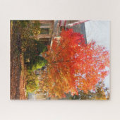 Puzzle Feuillage d'automne dans Oak Bluffs - Vignoble de (Horizontal)