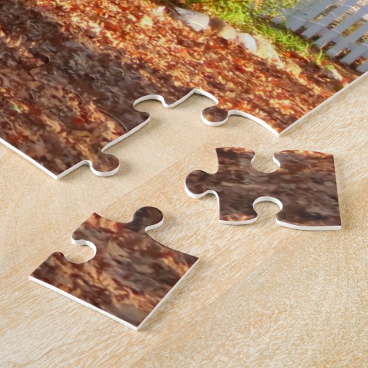 Puzzle Feuillage d'automne dans Oak Bluffs - Vignoble de  (Côté)