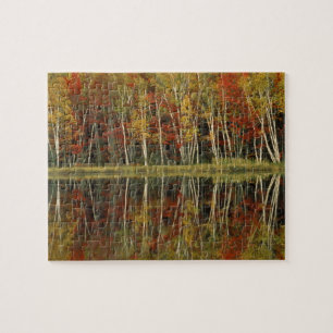 Puzzle Feuillage d'automne et reflets de bouleau ; Hiawat