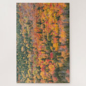 Puzzle Feuillage d'automne | Péninsule de Keweenaw, Michi (Vertical)