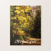 Feuillage d'automne sur route de campagne