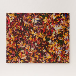 Puzzle Feuillage de couleur de feuilles d'automne Photo d